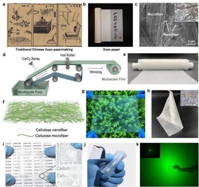 中国科学技术大学引领创新 新型柔性显示膜材料问世，开启显示技术新篇章